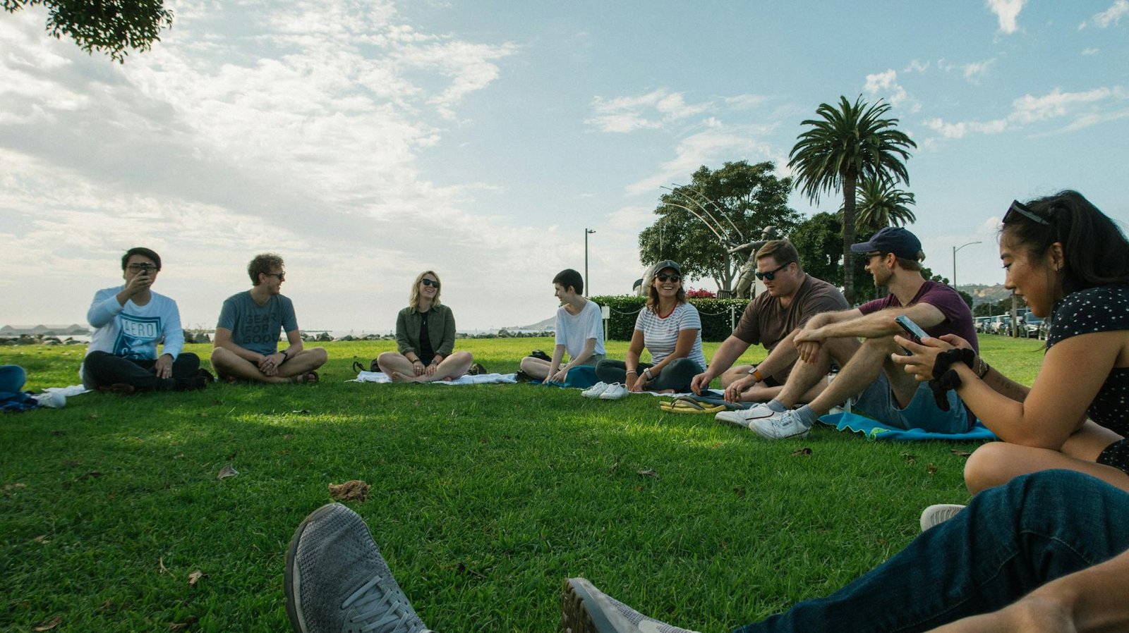 people sitting on grass